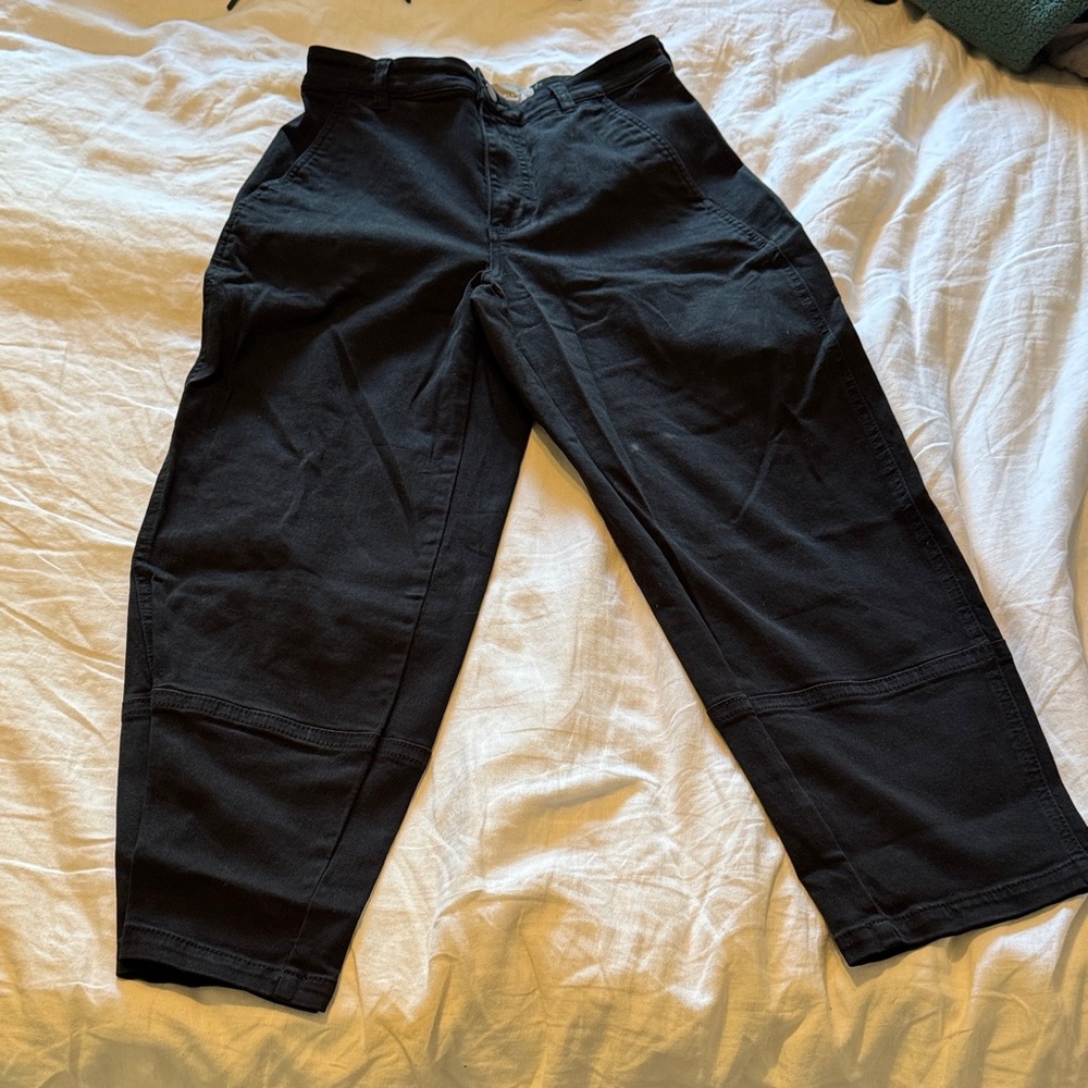 Everlane black barrel pants